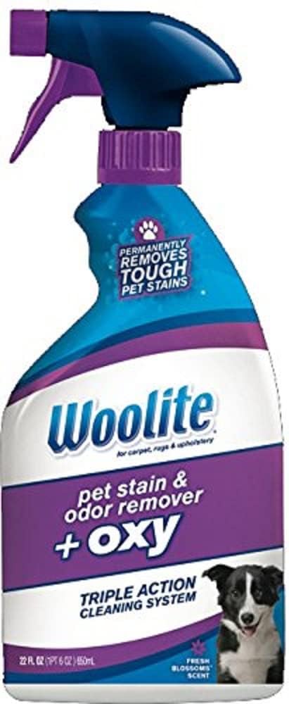 Pet Stain & Odor Remover + Oxygen Trigger, 22 Ounces, 0890