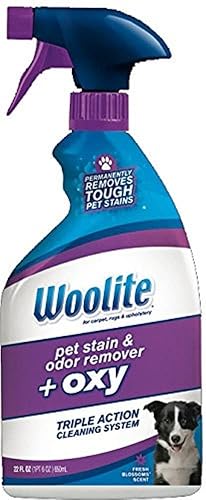 Woolite Pet Stain & Odor Remover + Oxygen Trigger, 22