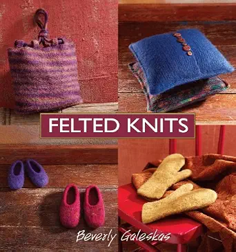Felted Knits-Wow! eBook