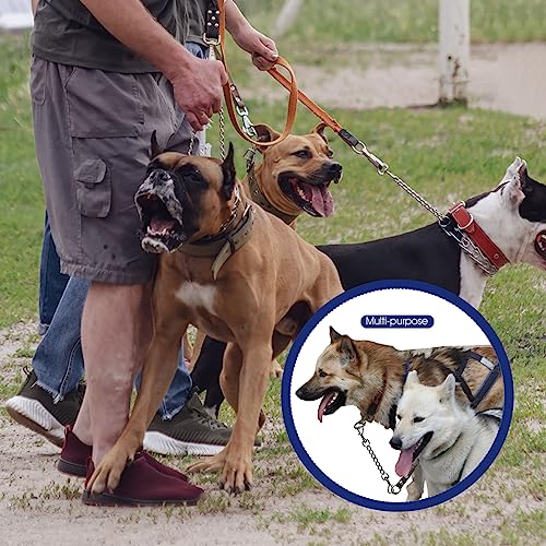 Humlanj Metal Dog Collar Safety Clip, 4 Pack Heavy Duty Dog Prong Collar Clip Double Ended Backup Clasp Leash Connector For Dog Harness To Collar Safety Clip 8 Inches #TOP4