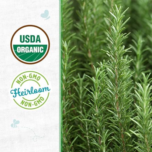Seed Packet - Rosemary
