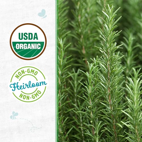 Back to the Roots 100% Organic Seed Packet - Rosemary