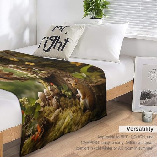 Couverture écureuil flannel pour soirées cocooning sur le canapé - 7