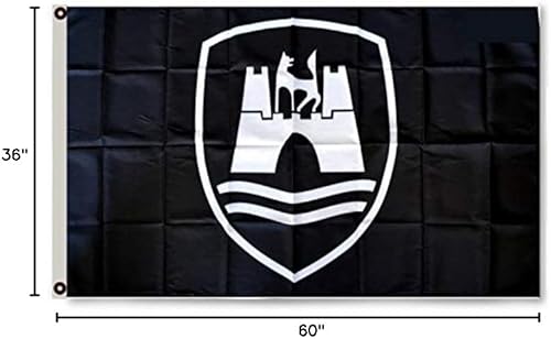 Aihccy Bandera de Volkswagen Wolfsburgo de 3 x 5 pies para decoración de cueva de hombre