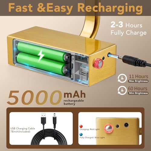Image of RAIFOOLLY Picture Light, 16inch Picture Lights for Wall Cordless with Timer and Dimmable, 5000mAh Battery Wall Lights for Display Gallery Painting Art Frame Portrait-Brass