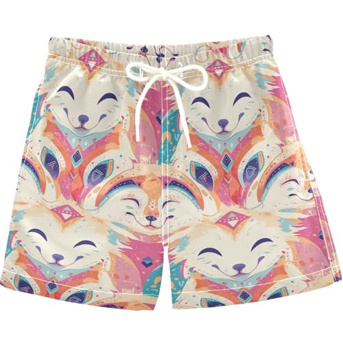 visesunny Summer Boy's Beach Shorts Deceitful Corsac Fox Quick Dry Swim Trunks Baby Boy Bathing Suit with Pockets 3T Multi