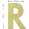 TENNYCHAOR Champagne Problems Banner – Gold Glitter Party Decor For Birthdays & Celebrations - View #5