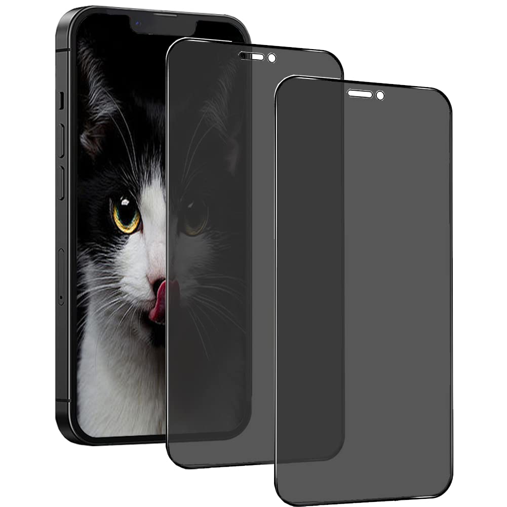 Video su Qual è Pellicola Privacy di Alta Qualà Anti Caduta Copertura Protettiva Decorativa Vetro Temperato Copertura Completa con Prezzo all'Ingrosso per iPhone 12 12 PRO Smartphone Schermo