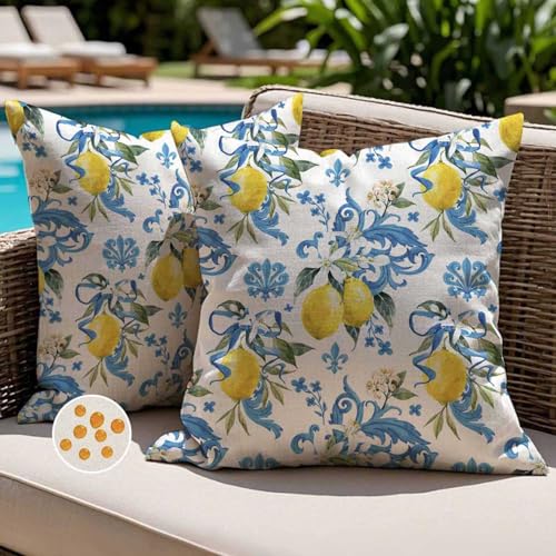 Jayusaror Fundas de Cojine 45x45 Exterior Impermeable con Diseño de Limón Amarillo Blau Moderno Cuadrada Decorativos Primavera Verano Sofa Fundas de Almohada para Sofá Jardín Balcón Juego de 2