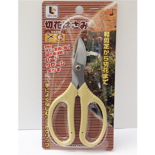 R[i IWi ؉Ԃ͂ LFX09-3684