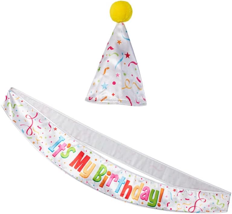 Rubies Birthday Accessory Kit for Inflatable T-Rex, Unisex One Size