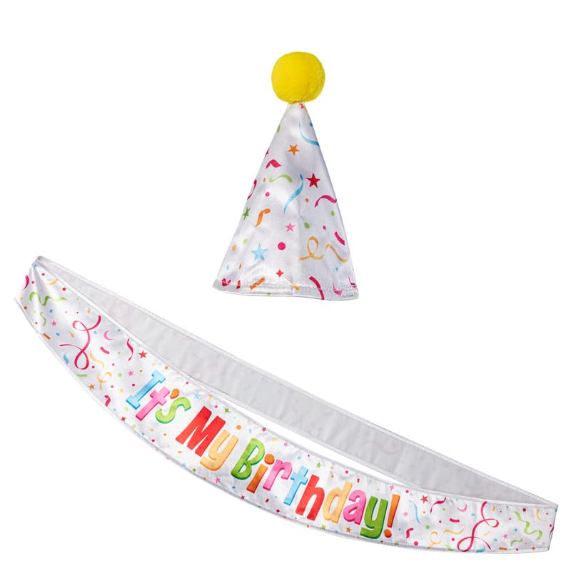 Rubies Birthday Accessory Kit for Inflatable T-Rex, Unisex One Size