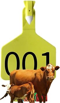 Z Tags One-Piece Cattle Ear Tags TPU Blank/001-300 Livestock Animal Identification for Cattle,Sheep Goat, Pig, Large Size Yellow 050-100