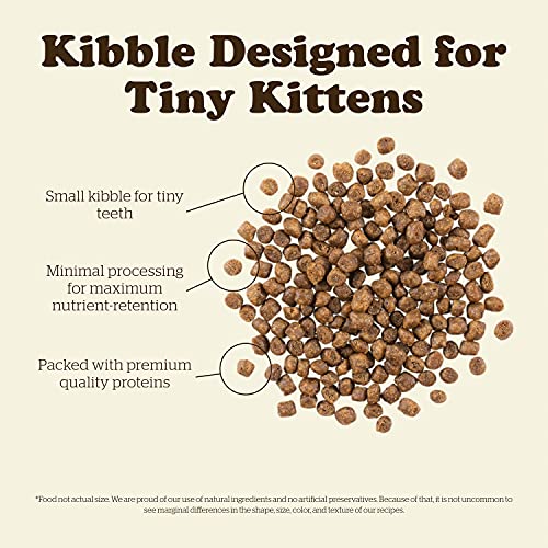 Now Fresh Grain Free Kitten Food, 3 Lb - Dry Cat Food Recipe For Kittens - Real Meat And Fish For Protein - Healthy Kitty Food #TOP5
