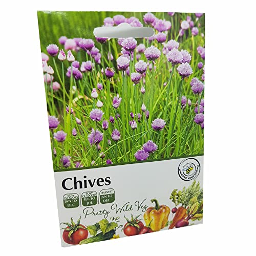 Chives Herb Seeds Vegetable Fruit Seeds Veg Seeds Cabbage Carrot Sweetcorn Tomato Strawberry (Chives)