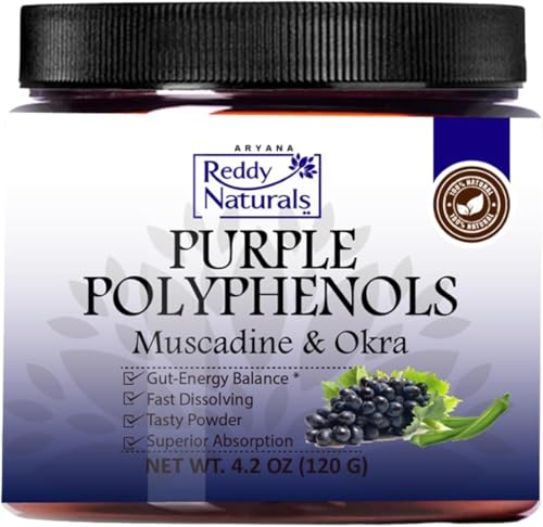 Reddy Naturals Purple Polyphenols Antioxidant Superfood Powder Drink Mix