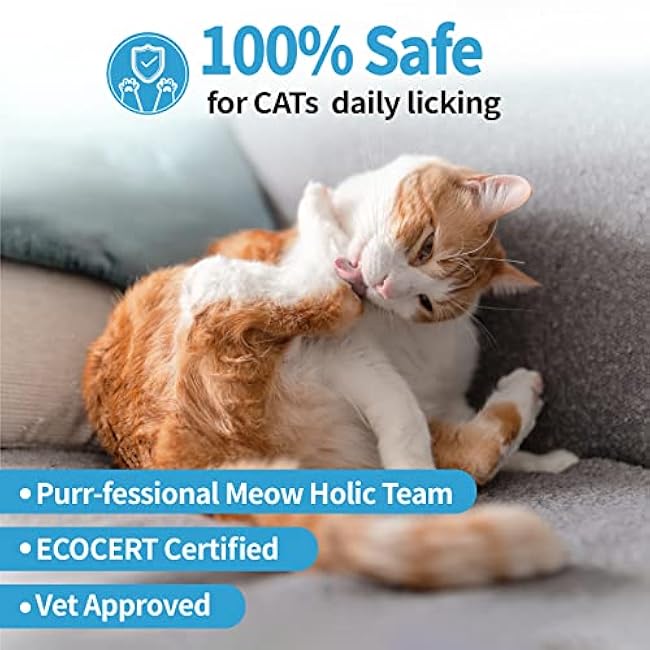 Mooncat Waterless Shampoo & Brush Kit for Longhair Cats | Complete Grooming System for Detangling, Deshedding & Matted Fur | Licking Safe No-Rinse Foam with Gentle Silicone Massager - Made in Taiwan-pYJt7jKP