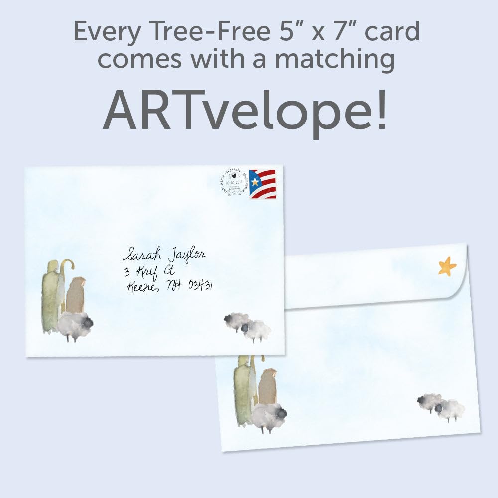 Tree-Free Greetings - Tarjetas de felicitación de temporada - Diseños artísticos - 12 tarjetas + sobres a juego - Fabricado en Estados Unidos - Papel 100% reciclado - 5 x 7 - Milagro de la Natividad