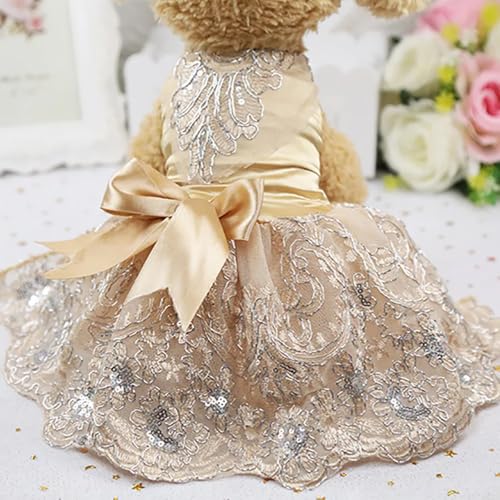 Vestido de encaje para perro color champagne talla S miniatura 5