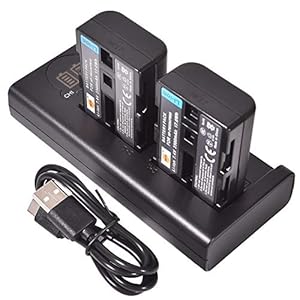 DSTE NP-FM50 Ersatzakku (2er Pack) und Smart LED Dual USB-Ladegerät Kompatibel mit Sony CCD-TRV108, CCD-TRV116, CCD-TRV118, CCD-TRV126, CCD-TRV128, CCD-CCD-TRV138, CCD-TRV208, CCD-TRV308