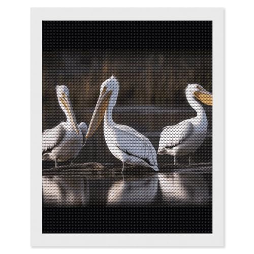 Peinture diamant trois pélicans HEBVNJF kit complet anti-stress art thérapie maison