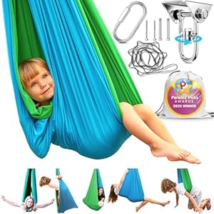 Sensory Swing for Kids Indoor &#821...