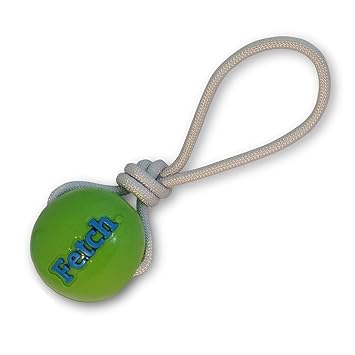 Planet Dog Orbee-Tuff Fetch Ball with Rope, Green