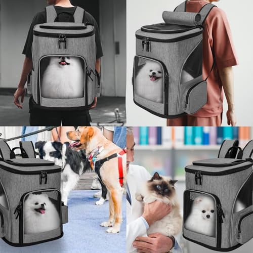OUUTMEE Haustier-Rucksack für kleine Hunde Hundetragetasche erweiterbares faltbares Netzfenster Geeignet für Kurze Reisen Tragfähigkeit 10 kg Grau
