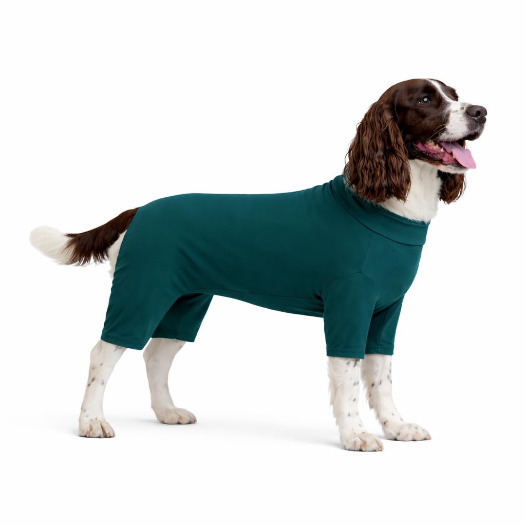 Lovelonglong Dog Full Bodysuit – Stretchy Yoga Fabric 4-Leg Dog Pajamas, Breathable & Lightweight Dog Onesie for Indoor & Outdoor, Shedding Control & Travel Wear Teal Green 2XL