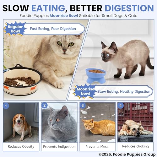 Image of Foodie Puppies Cat Food and Water Raised Feeder - 300ml (Moonrise Bowl) | Durable, Anti Vomiting, Healthy Cat Bowl for Persian Cats Prevent Tipping Over | Elevated Feeder for Cats and Small Dogs