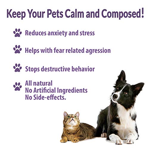 BestLife4Pets Pet Relax Calming Anxiety Relief for Dogs and Cats - All Natural Stress Aid Spray - Eases Separation Anxiety, Reduces Fear of Car Rides, Vet Visits, and Thunder Storms - Thumbnail 4