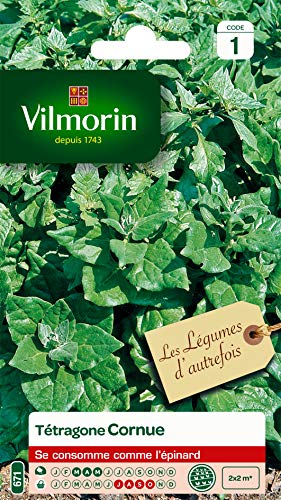 Vilmorin - Tétragone cornue- Légume d'autrefois - Se consomme comme un épinard - résistante à la chaleur et la sécheresse - idéal pour les régions chaudes - croissance rapide - rendement 2 x 2m Cover