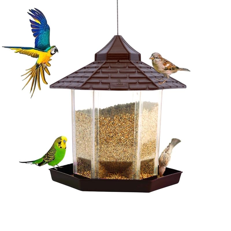 Garden’s Need Hut Shape Bird Feeder 21x21x22cms with 360° Perch, Transparent Grain Holder, 82cm Stainless Steel Wire| Hanging Mount for Outdoor, Gardens & Balconies (Brown)