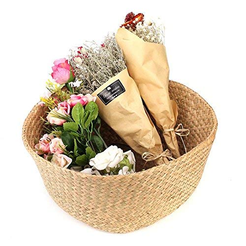 Natural Craft Large Seagrass Plant Basket For Storage Size (14X14X13 Inches), Laundry, Picnic - Plant Pots Cover Indoor Home Decor - Hand Woven Straw Beach Bag With Handles M #TOP5