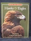 How to Spot Hawks and Eagles
