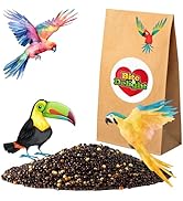  Delight Millet Noir pour Oiseaux 10 kg Nourriture pour Calopsittes Perruches Aliment Nourr...