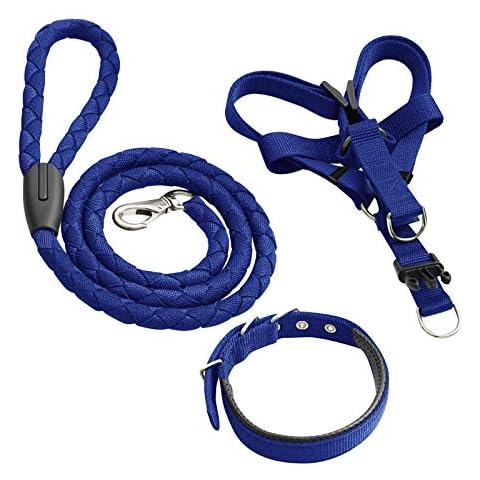 Ousuga Pet Collar Leash Harness Set Padded Soft Breathable Mesh Adjustable Nylon Pull Rope Long Lead Heavy Duty Training Set 3 Pack For Small Medium Large Dog Puppy(Blue) Cover