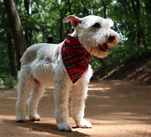 RUTH&BOAZ Traditional Scottish Tartan Plaid Christmas Snap On Dog Bandanas (Red,S), Small - Image 4
