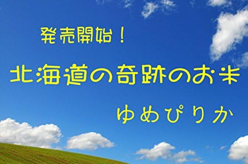 白米 】ゆめぴりか 令和7年産 北海道産 5kg オーダー精米 【監修】 (白米精米 約4.5kg)