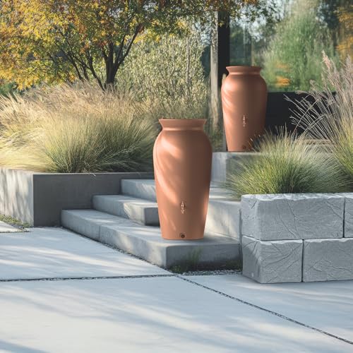 Photo complémentaire