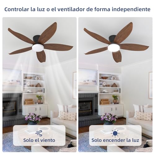 Ventilador de techo Benelux 14 Imagen adicional