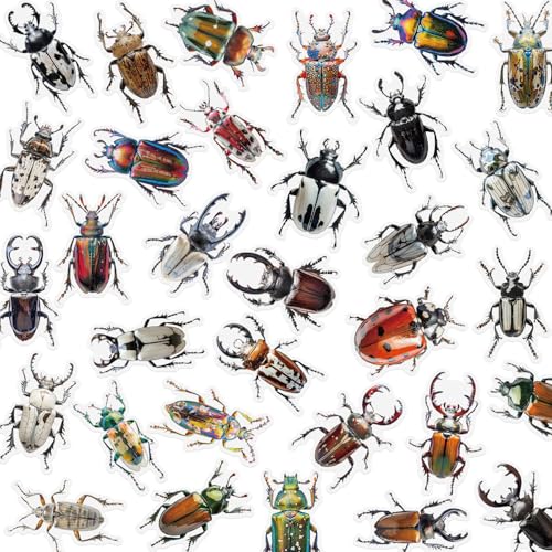 50���Z�b�g�X�e�b�J�[�����W�{�X�e�b�J�[���W �b���E�����ڃC���X�g ���R���Ԋώ@�e�[�} �f�B�e�[���ʎ��C���X�g�� �����w�}�ӗv�f �r�j�[�� �q���p �e�B�[���Y �h�� �r���e�[�W �E�H�[�^�[�{�g�� �m�[�g�p�\�R�� �M�^�[ �X�P�[�g�{�[�h�p