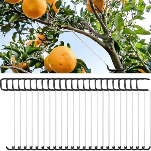 Tensor de rama de fruta metálico y esparcidor resistente para posicionamiento en peral 8