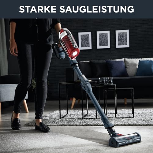 Rowenta X-Force Flex 11.60 Kabelloser Staubsauger mit HEPA-Filter