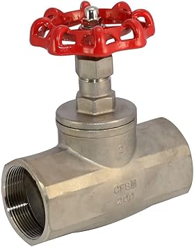 DAN SPEED SUS SS 316 Heavy Duty Globe 2 Valve Stainless Steel CF8M NPT 2