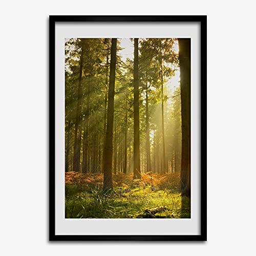 Peinture décoratif forêt Tulup et son cadre en bois moderne haut de gamme 50x70