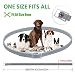 DEWEL Collar Antiparasitos Perro/Gato para Pulgas,Garrapatas y Mosquitos,Impermeable/Ajustable - 63 cm