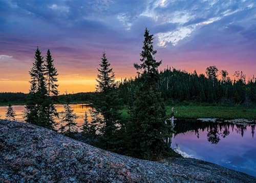 Night Nature Park Rompecabezas de Madera 12000 Piezas Juego de Rompecabezas Rompecabezas de desafío Cerebral