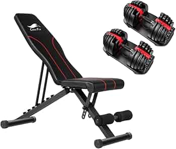 【必ず同時に2点ご購入ください】ダンベル 24kg（1個）【その1】 Amazon | 商品 トレーニングベンチ＋可変式 ダンベル 24kg