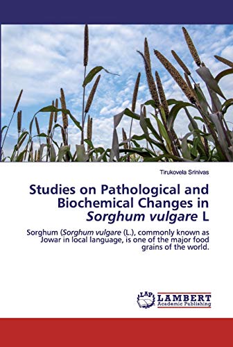 Studies on Pathological and Biochemical Changes in Sorghum vulgare L: Sorghum (Sorghum vulgare (L.), commonly known as Jowar in local language, is one of the major food grains of the world.